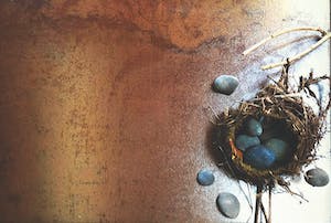 66fdcb3ad4ea380ebda5b13e Cle Low20res