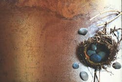 66fdcb3ad4ea380ebda5b13e Cle Low20res 66fdcb3ad4ea380ebda5b13e Cle Low20res