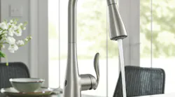 1 %20 Moen%20 Arbor%20with%20 Motion Sense%20 Wave
