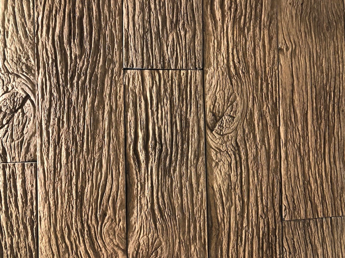 66fdcbcca897b57bf0b21783 Img 684820copy