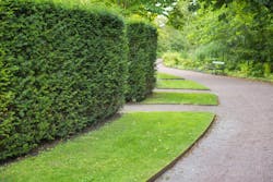 66fdcbcfa5dba0c436463e8a Coyotecustomedging20copy 66fdcbcfa5dba0c436463e8a Coyotecustomedging20copy