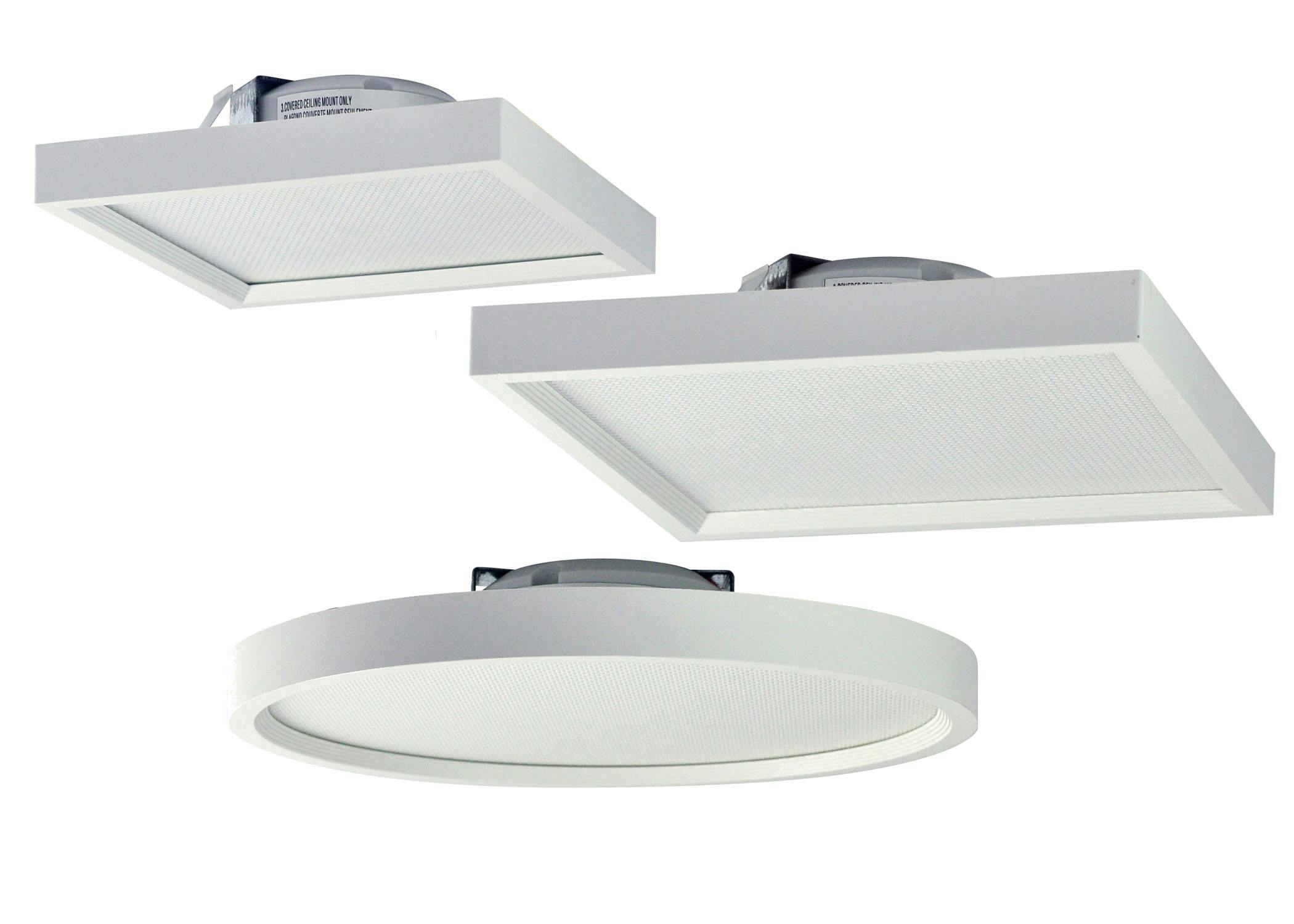 66fdcbd9de5fd100a654a468 Nora