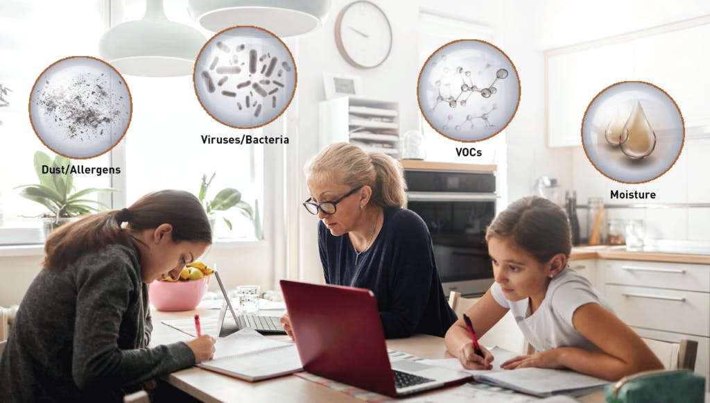 66fdcca101d3bf209faf95df Utopiaadditionalimages21024x581