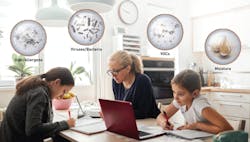 66fdcca101d3bf209faf95df Utopiaadditionalimages21024x581 66fdcca101d3bf209faf95df Utopiaadditionalimages21024x581