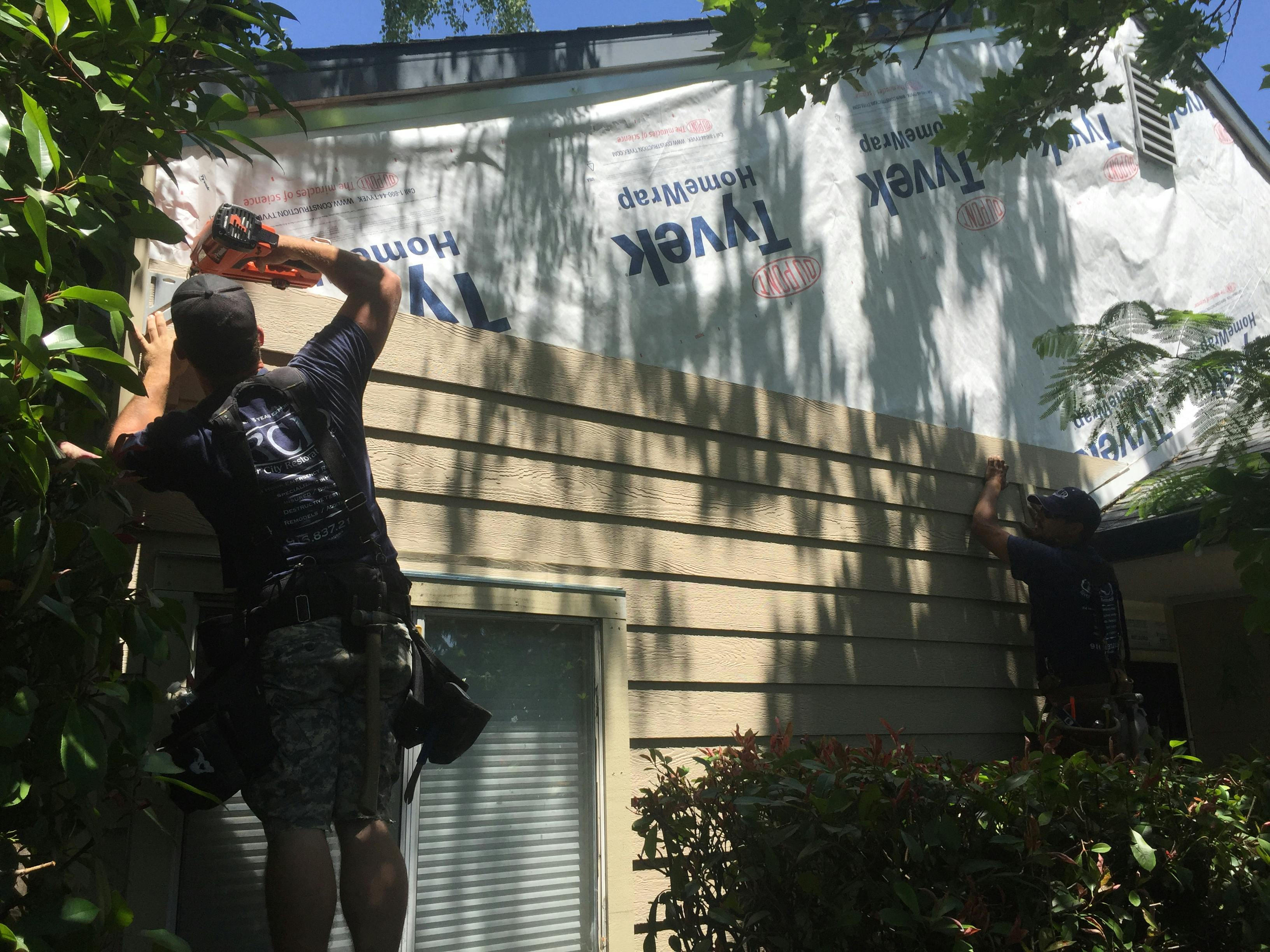 66fdccaedbd68ea0814ac472 Img 1297