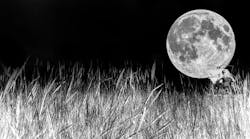 Life of an Architect episode 82, The Side Hustle Life of an Architect episode 82, The Side Hustle