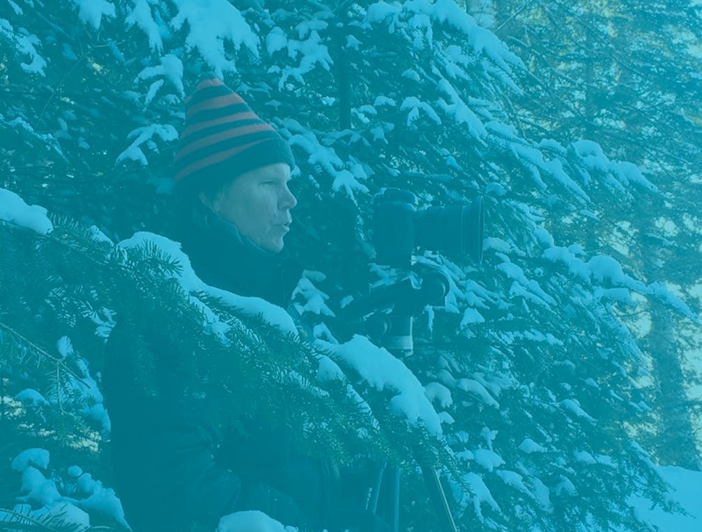 66fdccccdbd68e348c4ac491 Openerfinal