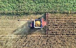 66fdcd2ce1fd4a710ee20d94 Pexelstomfisk10849318 66fdcd2ce1fd4a710ee20d94 Pexelstomfisk10849318