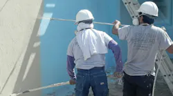 Paint Problems Residential Construction Professionals
