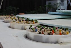 66fdcd9536c97e931c8b7ebc Soybean20researchmin 66fdcd9536c97e931c8b7ebc Soybean20researchmin