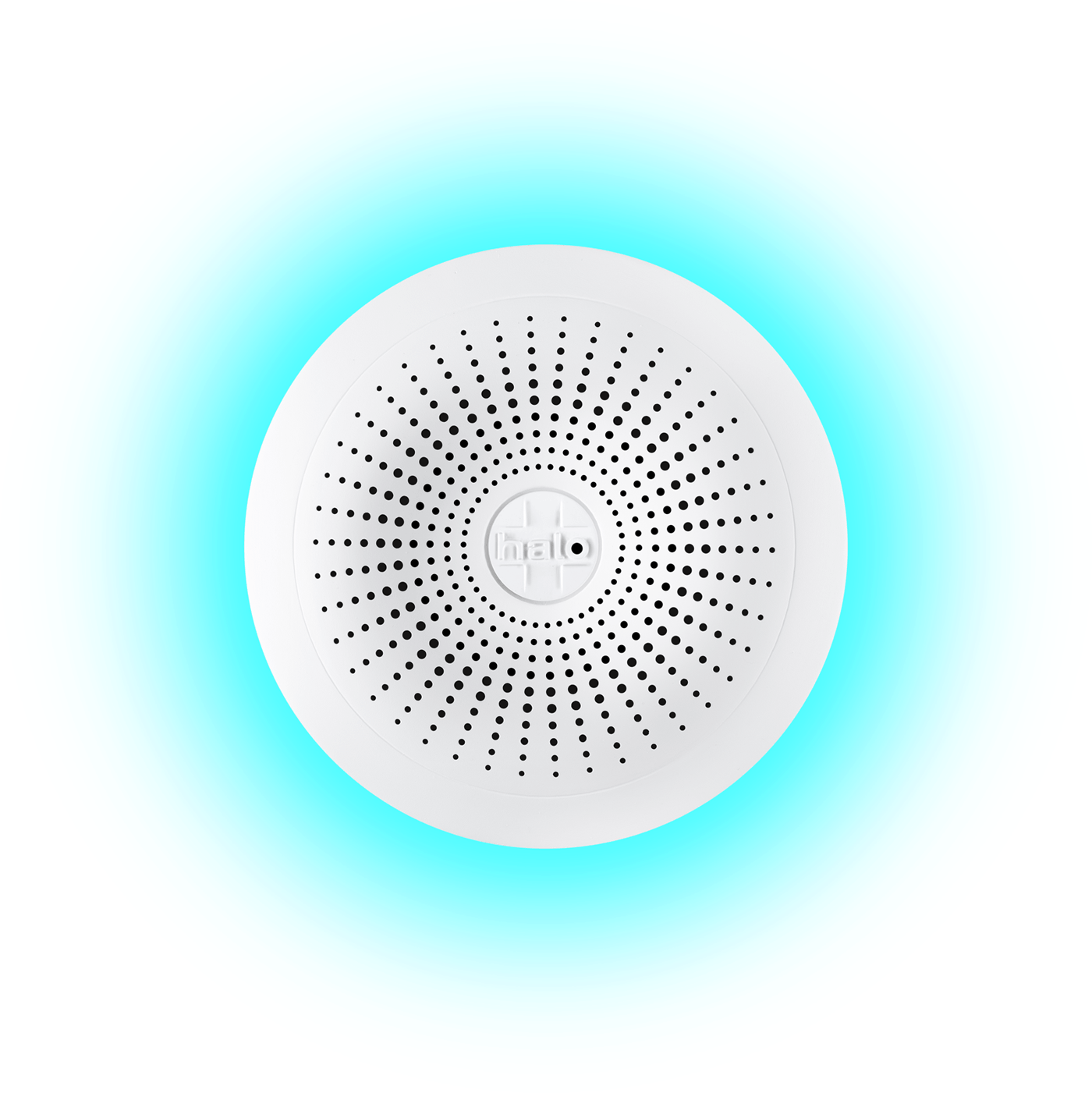 66fdcdb5de5fd1954e54a90a Haloplus Toplit