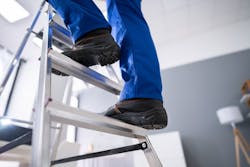 66fdcdb6a897b50382b21c45 Adobestock 316352248 66fdcdb6a897b50382b21c45 Adobestock 316352248