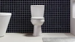 Niagara Nano High Efficiency Toilet%20(1)