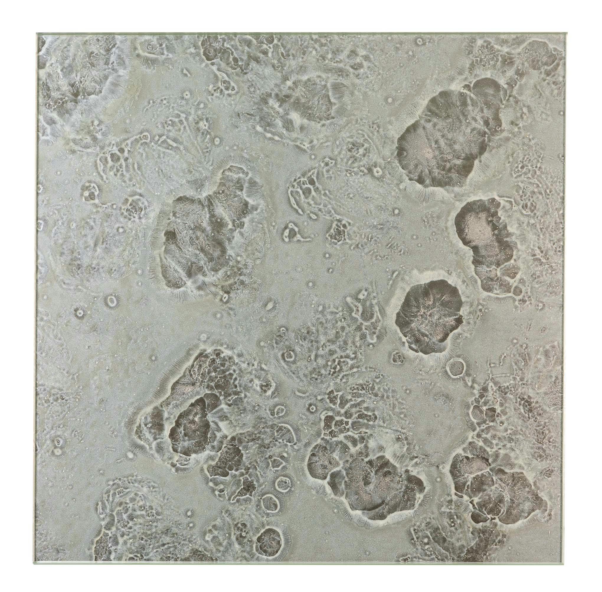 66fdce9d36c97e896b8b8050 Annsacksvedereglasstilesdiamante