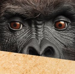 66fdcee9e63fdc219445a628 Lp20legacy20products207 66fdcee9e63fdc219445a628 Lp20legacy20products207