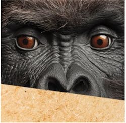 66fdceebdbd68e64904ac754 Lp20products208 66fdceebdbd68e64904ac754 Lp20products208