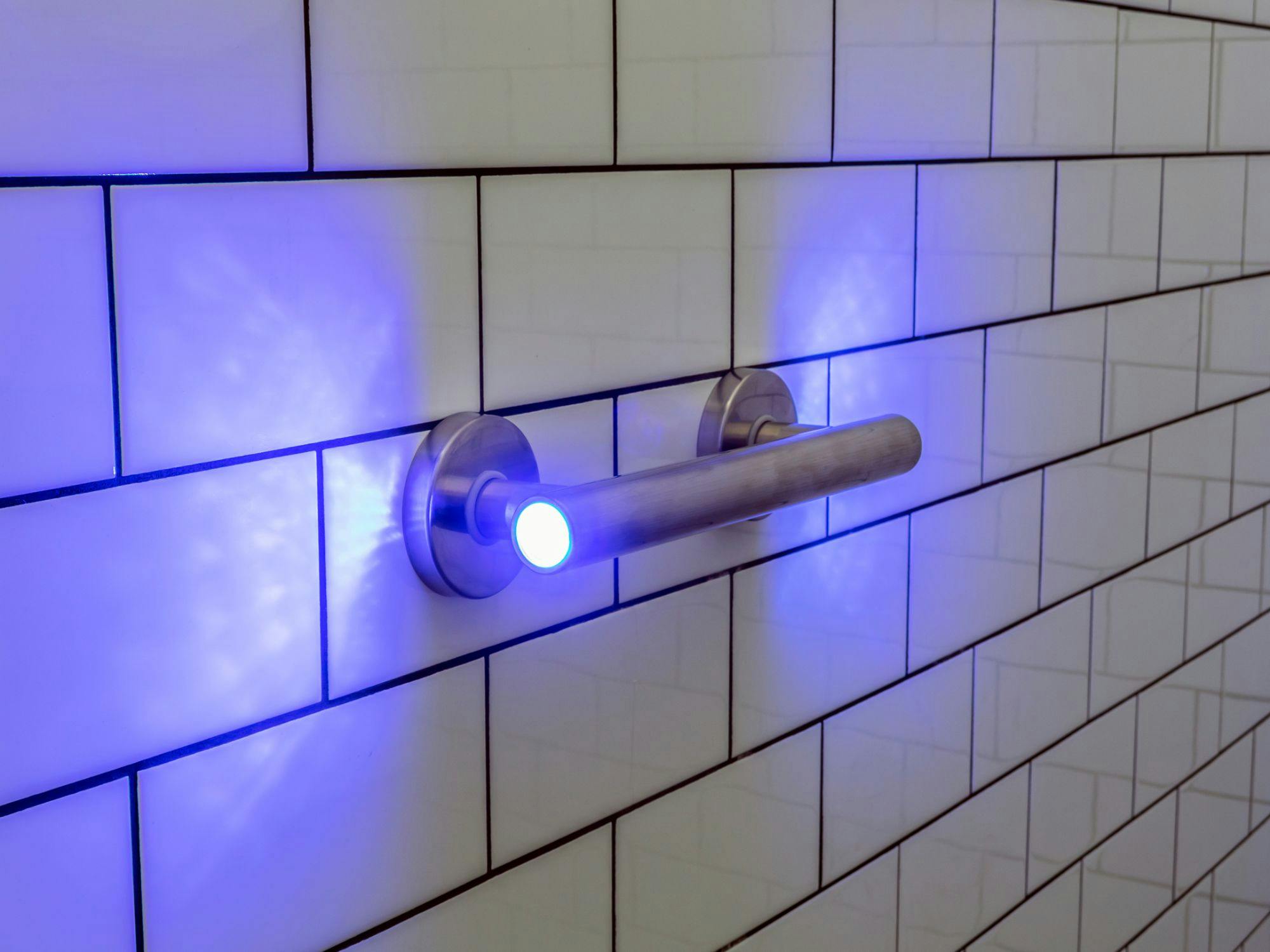 66fdcf2f3cabd97f44a6baa5 Evekareledgrabbarcloseup