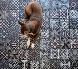 66fdcf3ddbd68e07624ac7b2 Flmceramicssoundwavevariegatedinverteddog 66fdcf3ddbd68e07624ac7b2 Flmceramicssoundwavevariegatedinverteddog