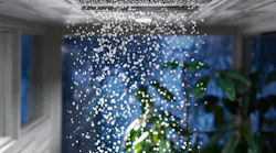 Kohler%20rainshower