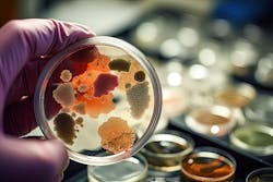 66fdcfe0e63fdc3ebe45a757 Adobestock 604590547 66fdcfe0e63fdc3ebe45a757 Adobestock 604590547