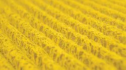 Sto Drain Screen Image Yellow