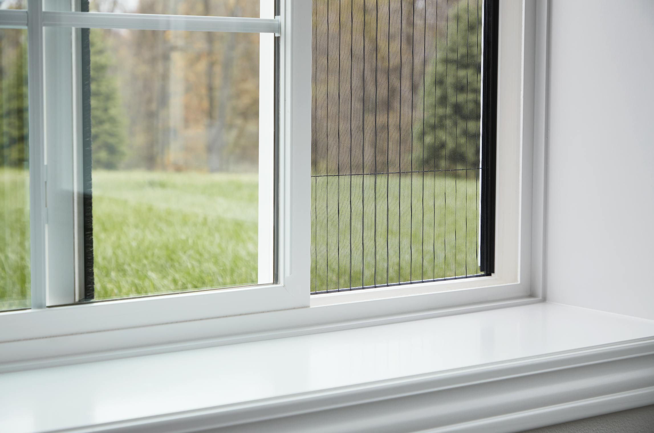 66fdcffddbd68ebe064ac88f Pellahiddenscreen