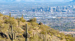 View of Phoenix metro with cacti in the foreground