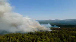 As extreme weather events become increasingly common, both homeowners and insurance companies should be aware of ways to mitigate their wildfire risk.