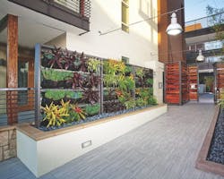 Green Primera Terra3 Green Primera Terra3