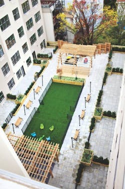 Green Madox Nj2 Green Madox Nj2