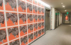 Entry%2010 87 Photo%209bcopy Entry%2010 87 Photo%209bcopy