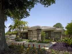 Ns Hextday3%20 Resized Ns Hextday3%20 Resized