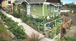 Boomers%206 Boomers%206