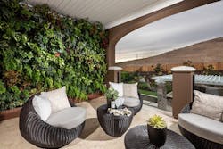 3 28 07 Living Wall 3 28 07 Living Wall