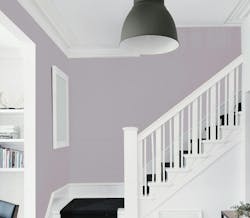 Cloudberry paint from Olympic Cloudberry paint from Olympic