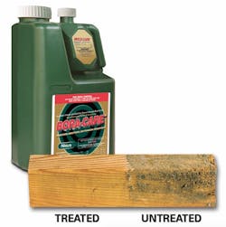 2018 Top 100 Structural_Nisus_Bora-Care With Mold Care 2018 Top 100 Structural_Nisus_Bora-Care With Mold Care