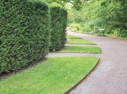 2019 top 100 products-Coyote Landscape Products-custom edging 2019 top 100 products-Coyote Landscape Products-custom edging