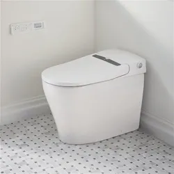 DXV SpaLet bidet smart toilet DXV SpaLet bidet smart toilet