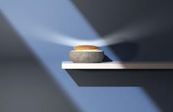 LAMP Winners Bolla Giulia Driftwood Nathan Sui Wall Shelf LAMP Winners Bolla Giulia Driftwood Nathan Sui Wall Shelf