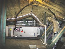 March%20 Doe 3 Low%20res March%20 Doe 3 Low%20res