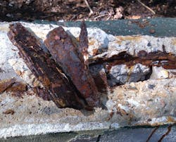 Picture%204%20from%20 T%20 Wolf Picture%204%20from%20 T%20 Wolf