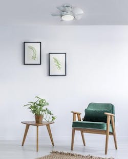Modern Forms Vox Ceiling Fan Titanium Living room green chair Modern Forms Vox Ceiling Fan Titanium Living room green chair