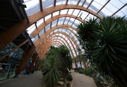 Curved Glulam Members At Sheffield Winter Gardens Uk Curved Glulam Members At Sheffield Winter Gardens Uk