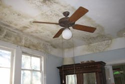 mold on ceiling of home interior mold on ceiling of home interior