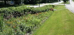 bioswale to help redirect and clean water runoff from road bioswale to help redirect and clean water runoff from road