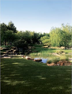 Betenbough builders' Lubbock, Texas, headquarters, landscape Betenbough builders' Lubbock, Texas, headquarters, landscape