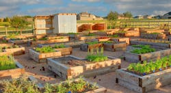 100 1651z3%2022%20%282%29 100 1651z3%2022%20%282%29