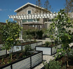 45 Wallis%20 Landscape%20%281%29 45 Wallis%20 Landscape%20%281%29