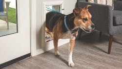 Ctc Harlow Doggy Door Ctc Harlow Doggy Door