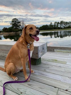 virtual sales event nahb nationals virtual sales event nahb nationals